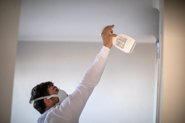 Professional Mold Removal in Three Oaks, MI